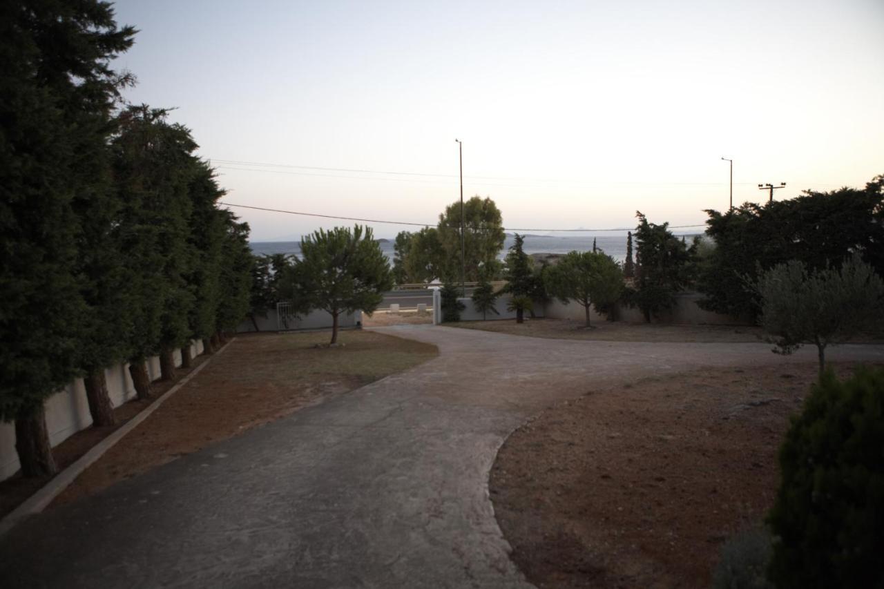 Villa Deep Blue Agia Marina  Esterno foto
